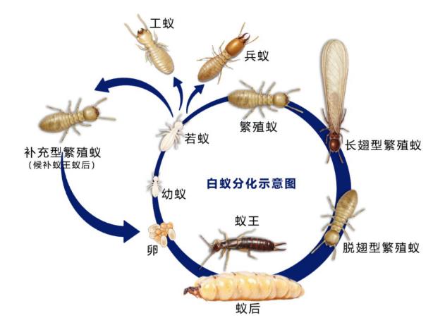 商場消殺過程中有什么需要注意的嗎-- 四川美凈佳有害生物防治有限公司