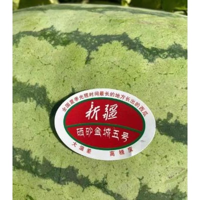 對(duì)于新疆大西瓜的種植要注意這些細(xì)節(jié)