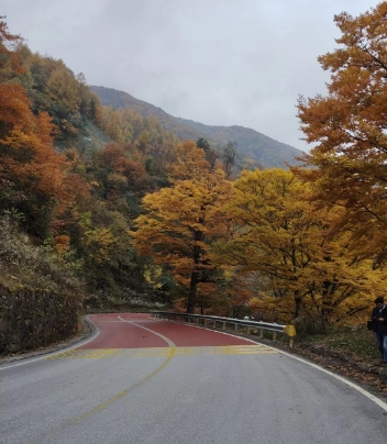 神龍架旅游包車打您領(lǐng)略神農(nóng)架的春夏秋冬-- 神農(nóng)架忠勝汽車服務(wù)有限公司