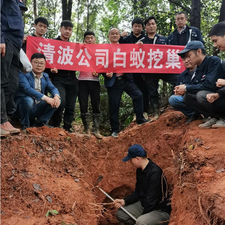 淳安滅白蟻公司講解為什么要預(yù)防白蟻-- 淳安清波殺蟲(chóng)滅鼠消殺公司