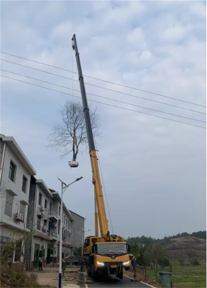 你知道高空車在哪些行業(yè)中的應(yīng)用比較廣泛嗎？-- 河池市宜州區(qū)勝榮吊裝服務(wù)中心