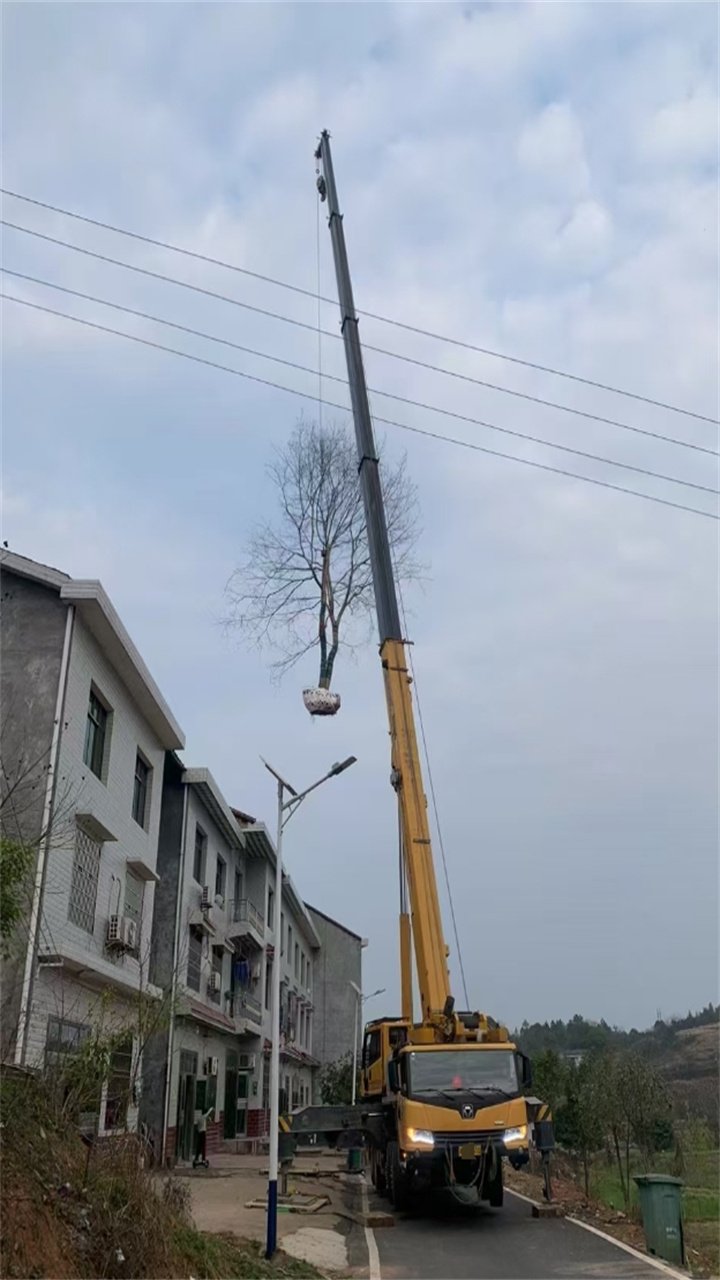 鄰水縣租吊車用于橋梁建設，有專業(yè)操作團隊嗎？