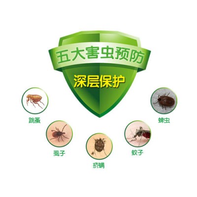 珠海滅蚊蠅 夏秋季重點(diǎn)是蚊蠅防治